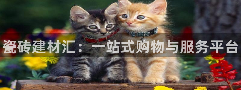 杏鑫娱乐-官方网站