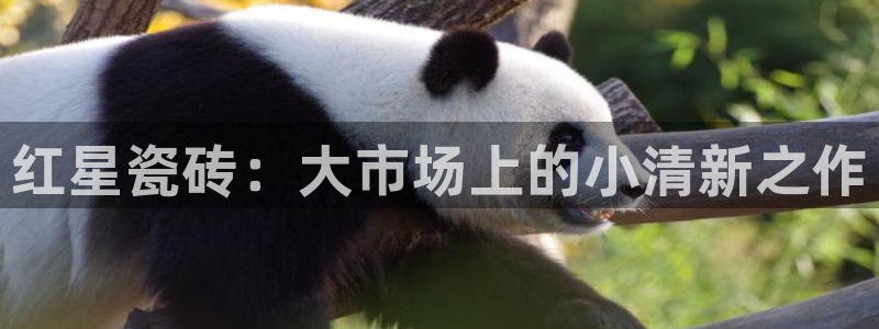 杏鑫娱乐怎么下