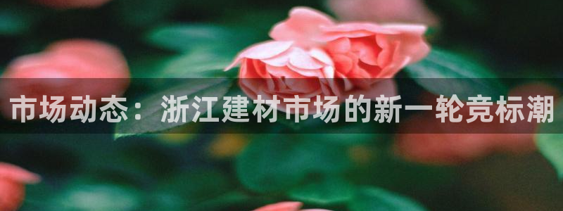 杏鑫官网注册账号密码是多少