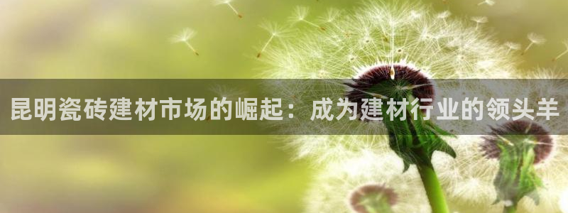 杏鑫平台正规吗