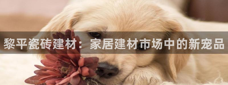 杏鑫平台怎么样黑钱吗知乎